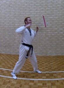 taekwondo-punch-board-break-1