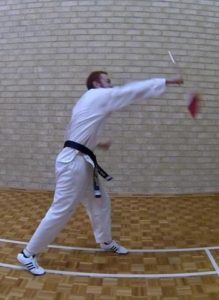 taekwondo-punch-board-break-2